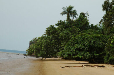 La plage de l’île de Manoka