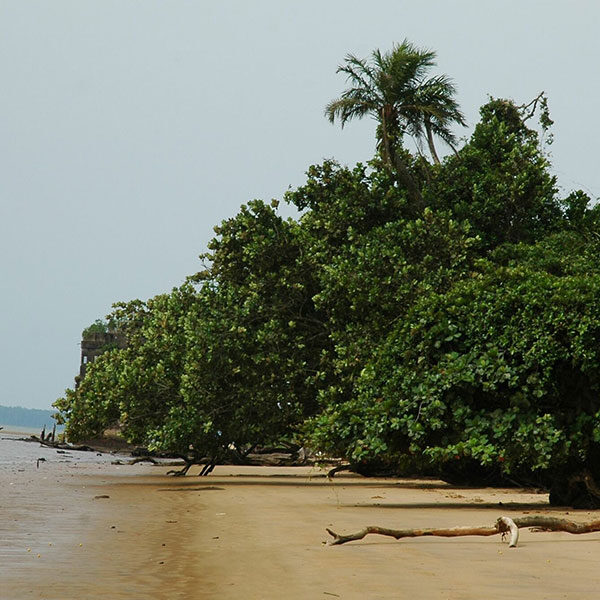 La plage de l'île de Manoka